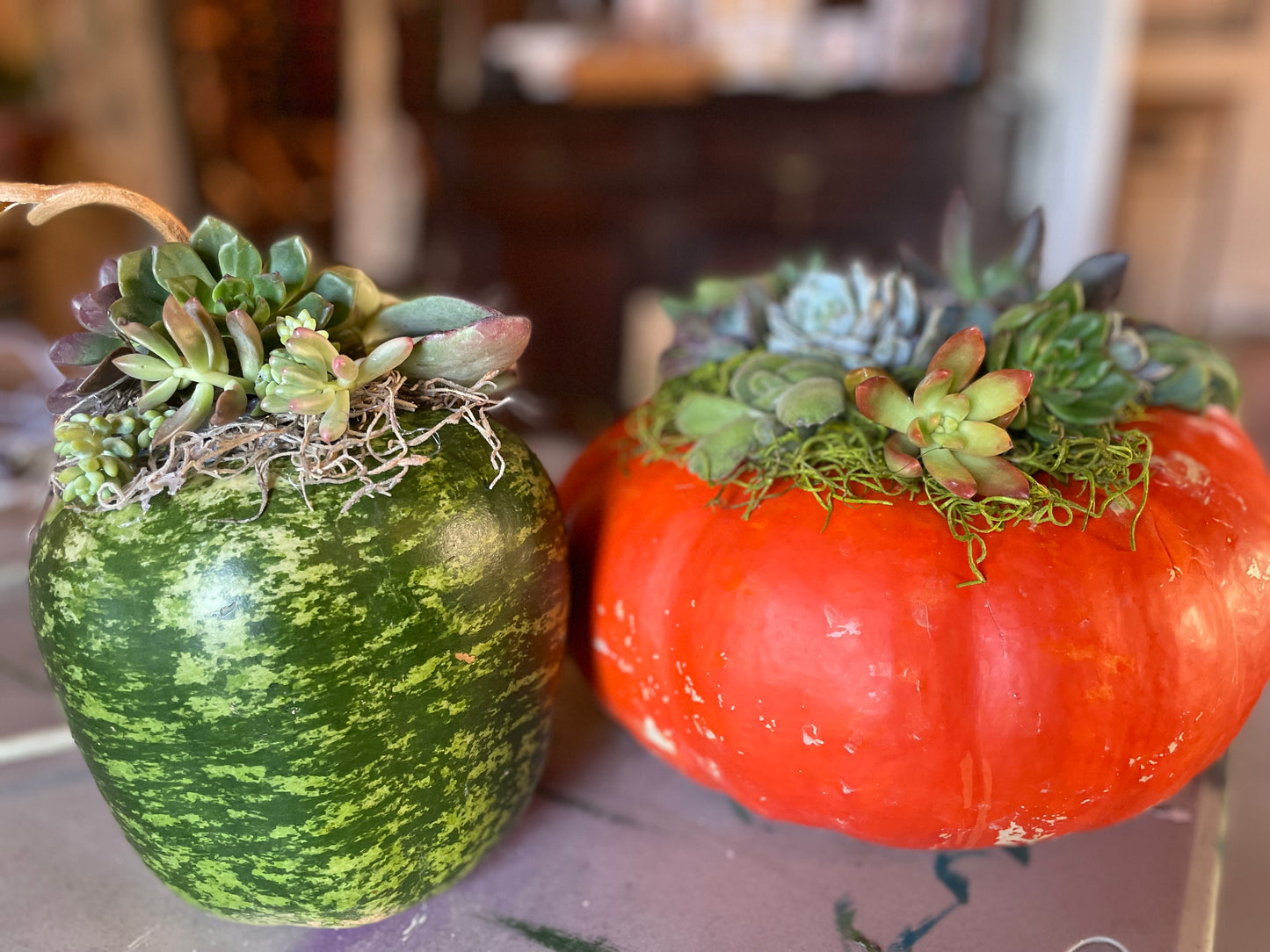 Pumpkin & Succulent Arrangement Workshop Ticket