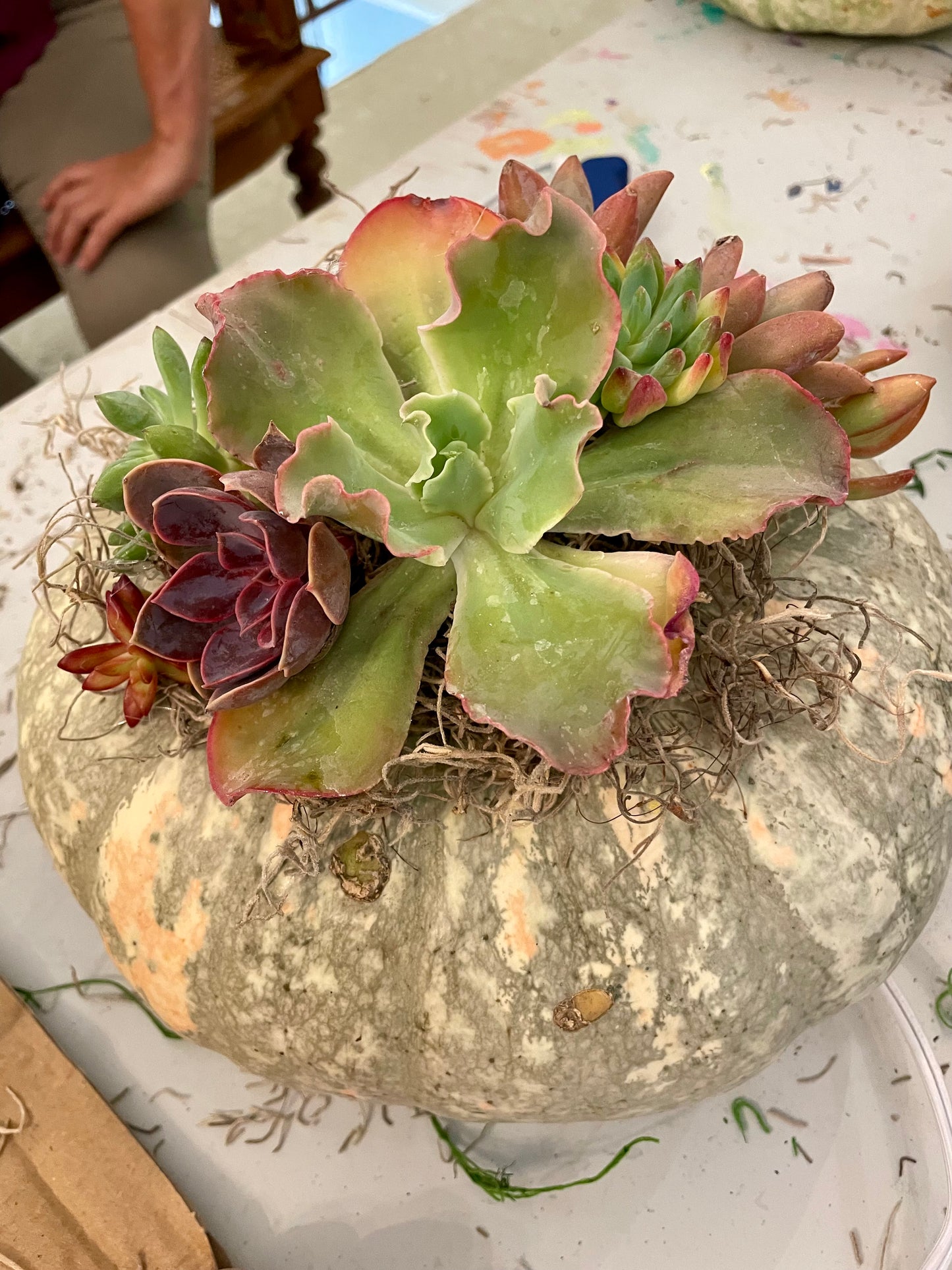 Pumpkin & Succulent Arrangement Workshop Ticket 2024